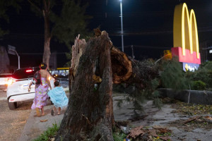 &Aacute;rvore ca&iacute;da ao lado da Avenida das Am&eacute;ricas, no bairro do Recreio dos Bandeirantes, enquanto moradores passam pelo local