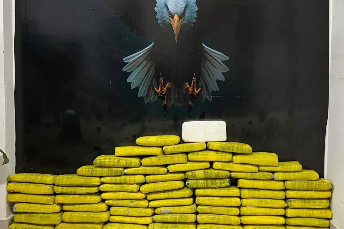 Foram apreendidos aproximadamente 1,2 kg de cocaína e 51 kg de maconha/Divulgação PCPE