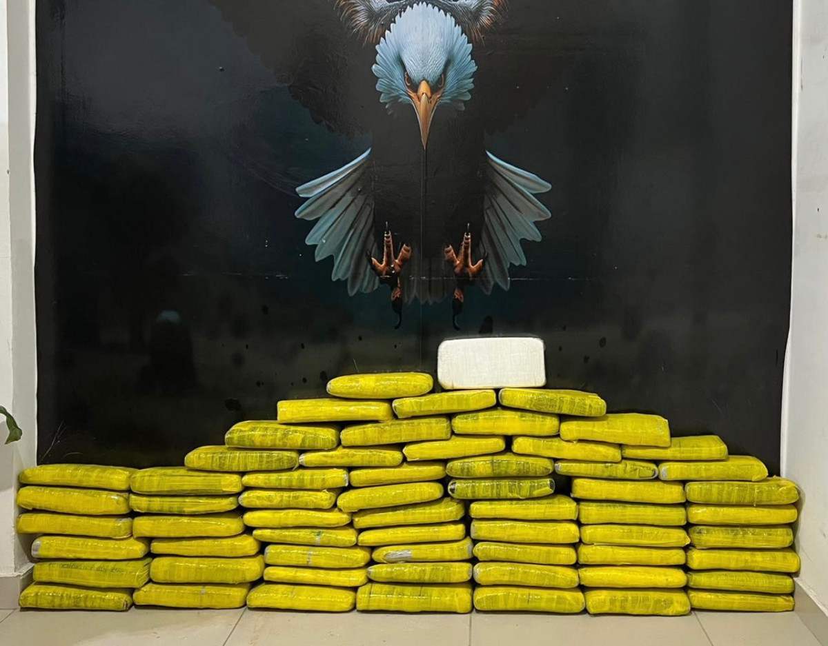 Divulgação PCPE
