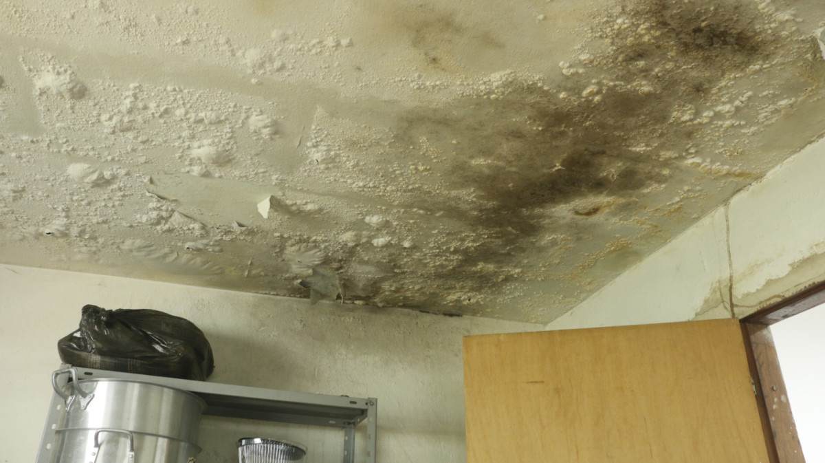Coren-PE identifica problemas estruturais e déficit de profissionais em unidades de saúde de Abreu e Lima/Foto: Everson Teixeira/Divulgação