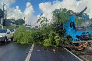 Caminh&atilde;o bate em &aacute;rvore e interdita faixa da BR-101, em Abreu e Lima