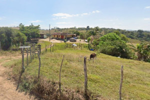 O acidente aconteceu no S&iacute;tio Caibro, na zona rural de Bom Conselho