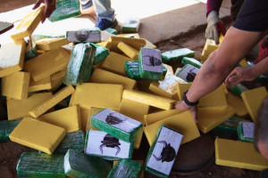 A incinera&ccedil;&atilde;o de entorpecentes &eacute; o procedimento legal de destrui&ccedil;&atilde;o de drogas no Brasil