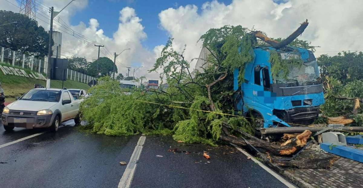 Divulgação/PRF