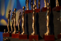 Trof&eacute;u Candango, do Festival de Bras&iacute;lia do Cinema Brasileiro - Festival de Bras&iacute;lia/Divulga&ccedil;&atilde;o