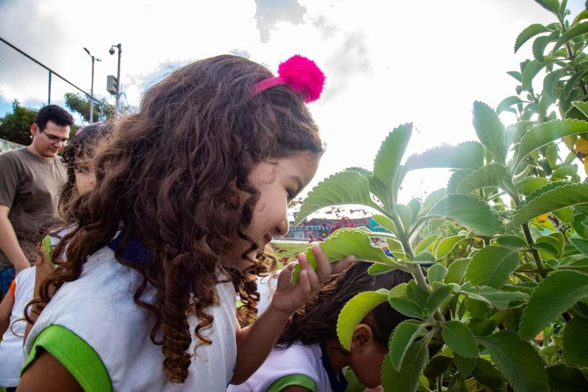 Um dos projetos vencedores é o "Que Horta! Cultivando Saberes e Semeando Histórias", desenvolvido pelo professor Júlio César Saldanha, da Escola Municipal Alto Santa Terezinha.  (Foto: Karol Rodrigues / DP Fotos)