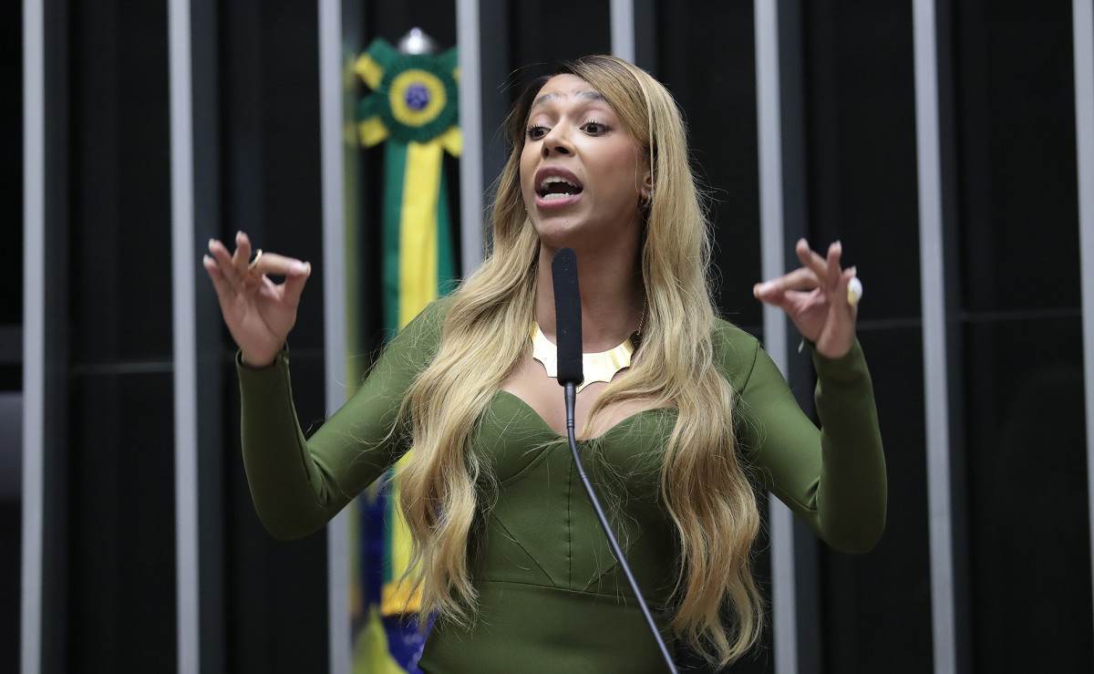 Dep. Erika Hilton (PSOL - SP)/Vinicius Loures/Câmara dos Deputados