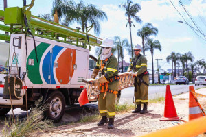 Cerca de 30 mil liga&ccedil;&otilde;es clandestinas foram regularizadas