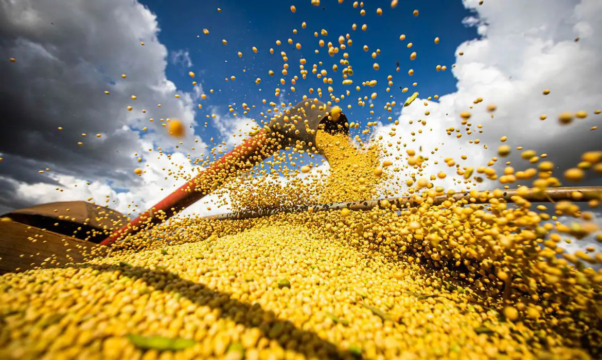 A soja continua sendo o principal produto agrícola do país e deve atingir produção de 180,5 milhões de toneladas/WENDERSON ARAUJO/TRILUX