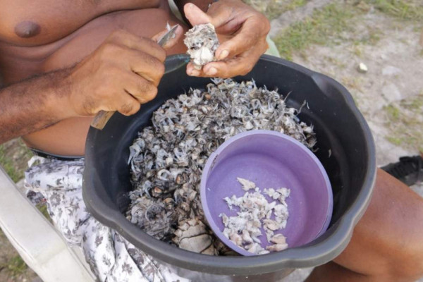 Em Tamandaré, projeto sobre petróleo e pesca artesanal debate racismo e injustiça ambiental em comunidades do Nordeste (Foto: Arquivo do projeto da Pesca de integrantes de Comunicação do Caranguejo Uçá)