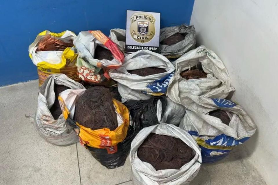 300 quilos de fios de cobre foram apreendidos/Divulgação/PCPE