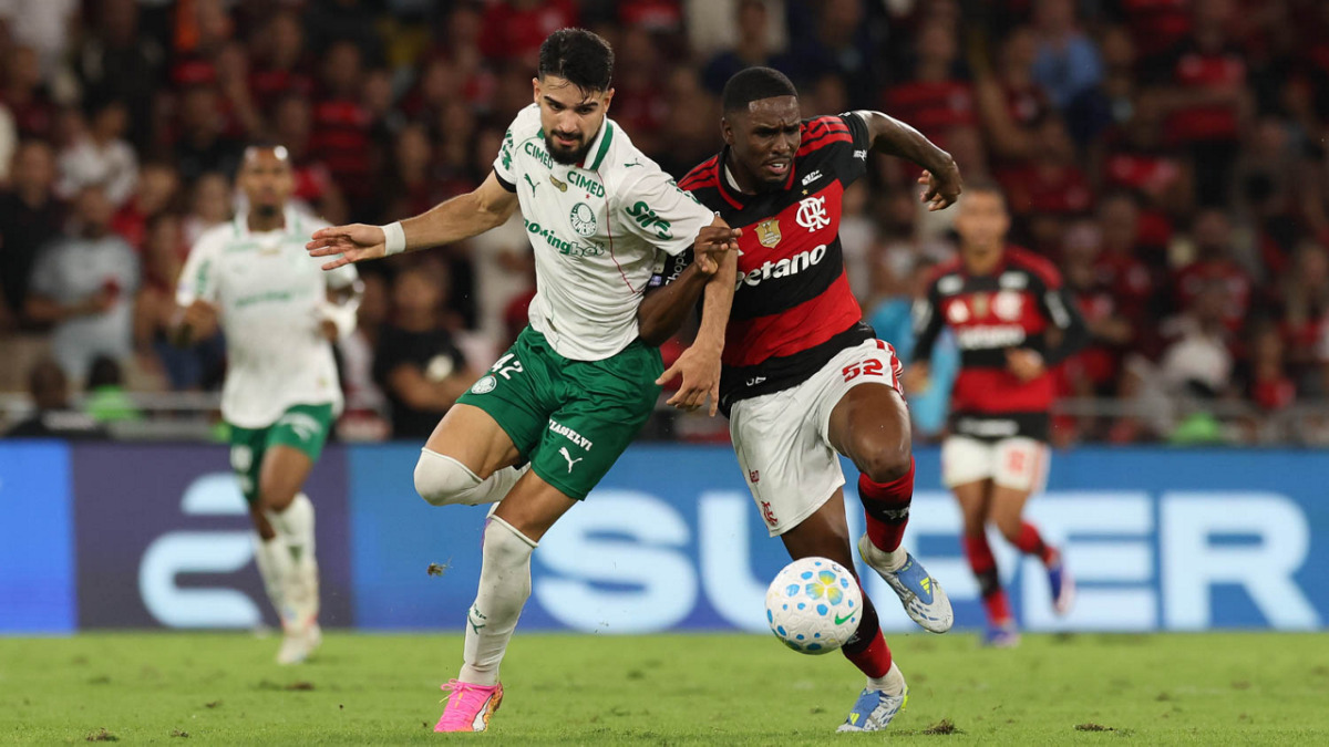 Cesar Greco/Palmeiras