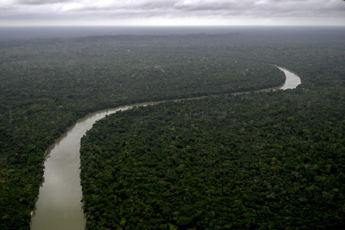 Vista aérea mostra a Floresta Amazônica perto do município de Paragominas, no estado do Pará/Mauro Pimentel/AFP
