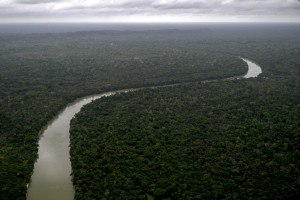 Vista a&eacute;rea mostra a Floresta Amaz&ocirc;nica perto do munic&iacute;pio de Paragominas, no estado do Par&aacute;