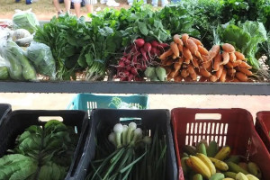 Recife registrou a maior queda de pre&ccedil;os entre as sete capitais pesquisadas pela FGV na segunda quadrissemana de agosto