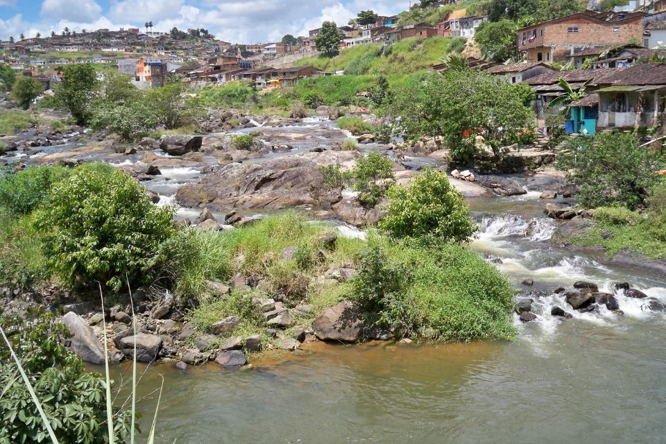 O Rio Sirinhaém corre o risco de inundação de acordo com os novos boletins da Agência Pernambucana de Águas e Climas (APAC). /Josué Francisco/Embrapa.