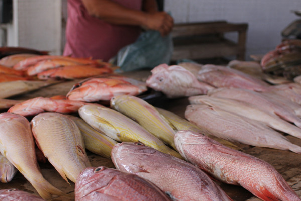 Durante a vistoria, os fiscais identificaram 18 não conformidades, principalmente no setor de comercialização de carnes, aves e pescados (Foto: MPPE/Reprodução)