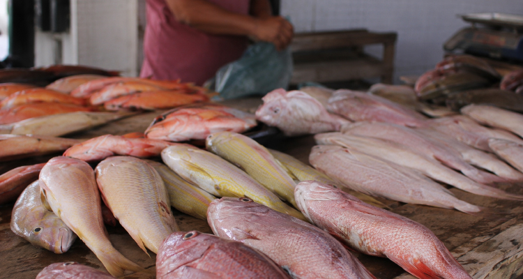 Durante a vistoria, os fiscais identificaram 18 não conformidades, principalmente no setor de comercialização de carnes, aves e pescados/Foto: MPPE/Reprodução