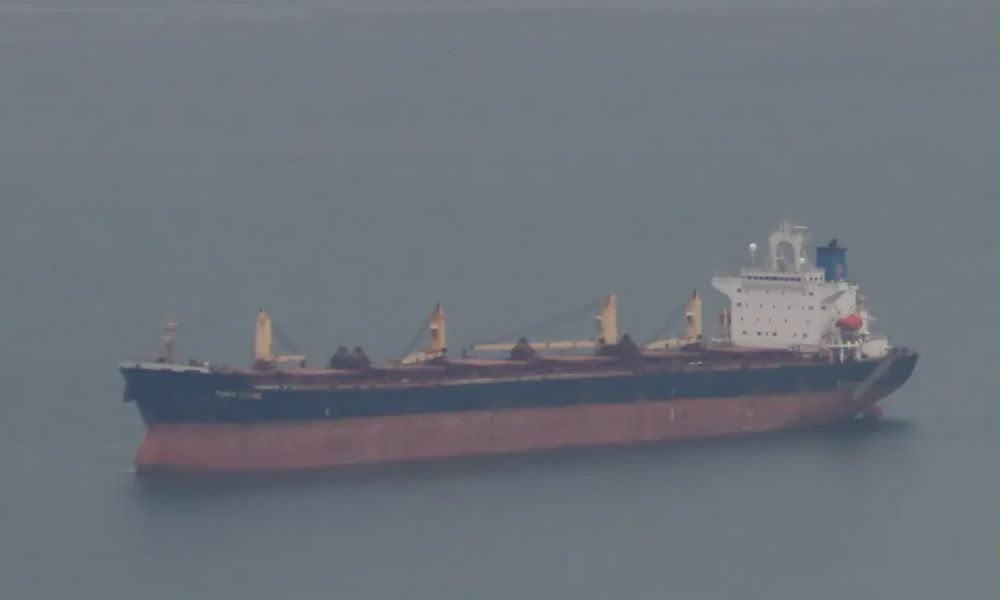 Índia inicia buscas por 22 desaparecidos após naufrágio de navio mercante de bandeira panamenha/Reprodução