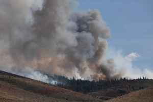 Inc&ecirc;ndio florestal em Nevada, nos Estados Unidos