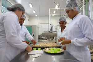 Entres os cursos oferecidos est&aacute; o T&eacute;cnico em Alimentos 