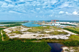 &Aacute;rea de 55 hectares recuperada por Suape