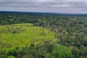 &Aacute;rea desmatada na Amaz&ocirc;nia