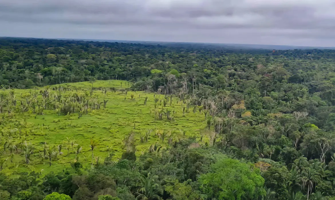 Área desmatada na Amazônia/Polícia Federal/Gov.Br