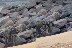 Neste domingo (6), um novo v&iacute;deo registra a frustrada tentativa de resgate de uma capivara por parte da Pol&iacute;cia Ambiental.