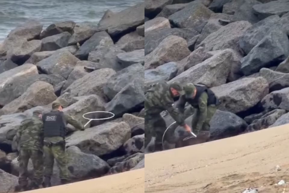 Neste domingo (6), um novo vídeo registra a frustrada tentativa de resgate de uma capivara por parte da Polícia Ambiental./Reprodução/Instagram.