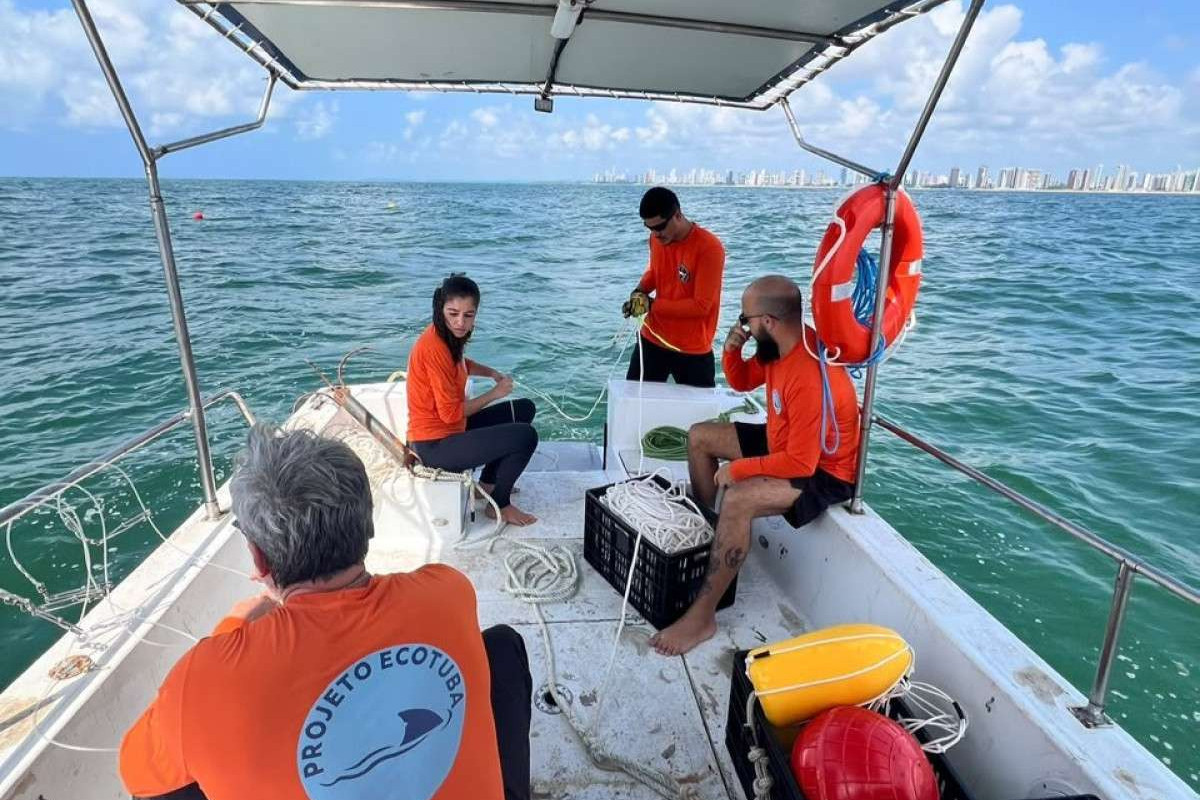 Pesquisadores do Projeto ECOTUBA realizam trabalho de monitoramento em pontos do litoral de Recife, Olinda e Jaboatão dos Guararapes/Paulo Oliveira/Cortesia