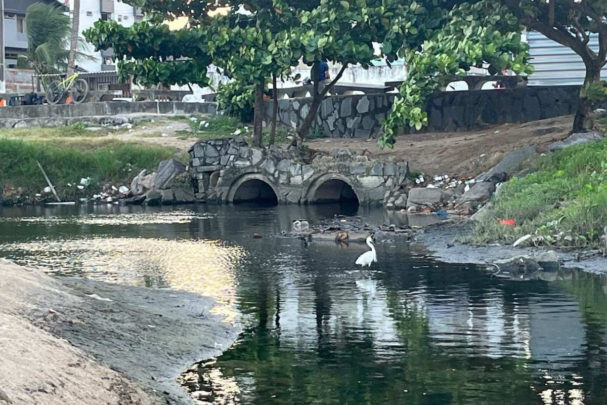 Tubulações em trecho de praia no Janga/Isabella Fabrício/ DP Foto