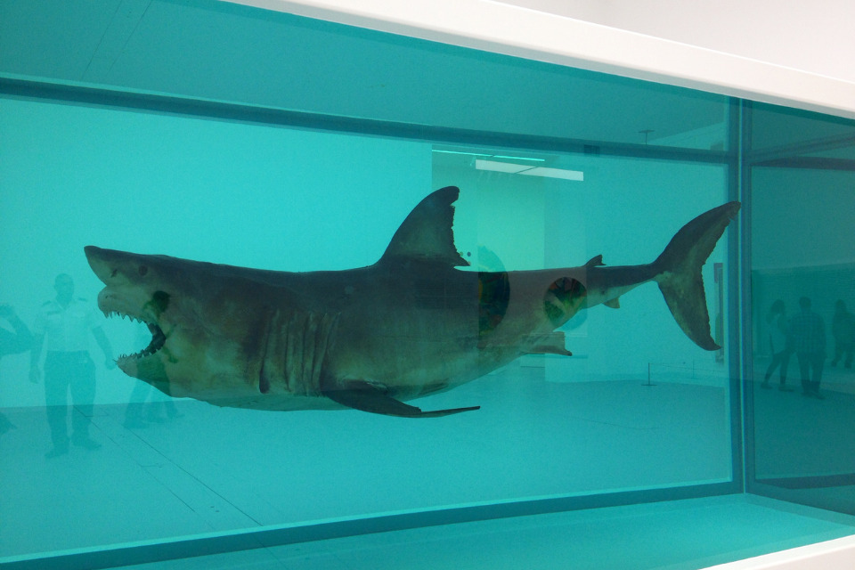 "The Physical Impossibility of Death in the Mind of Someone Living", de Damien Hirst/Isabell Schulz/Flickr
