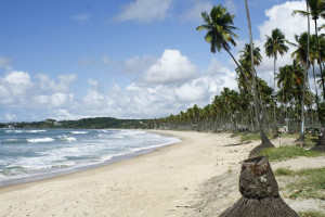Os empreendimentos est&atilde;o distribu&iacute;dos pelos litorais de Pernambuco, Para&iacute;ba, Alagoas e Rio Grande do Norte