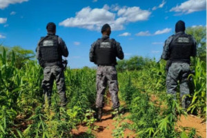 Segundo a PM, agentes foram recebidos a tiros na fazenda
