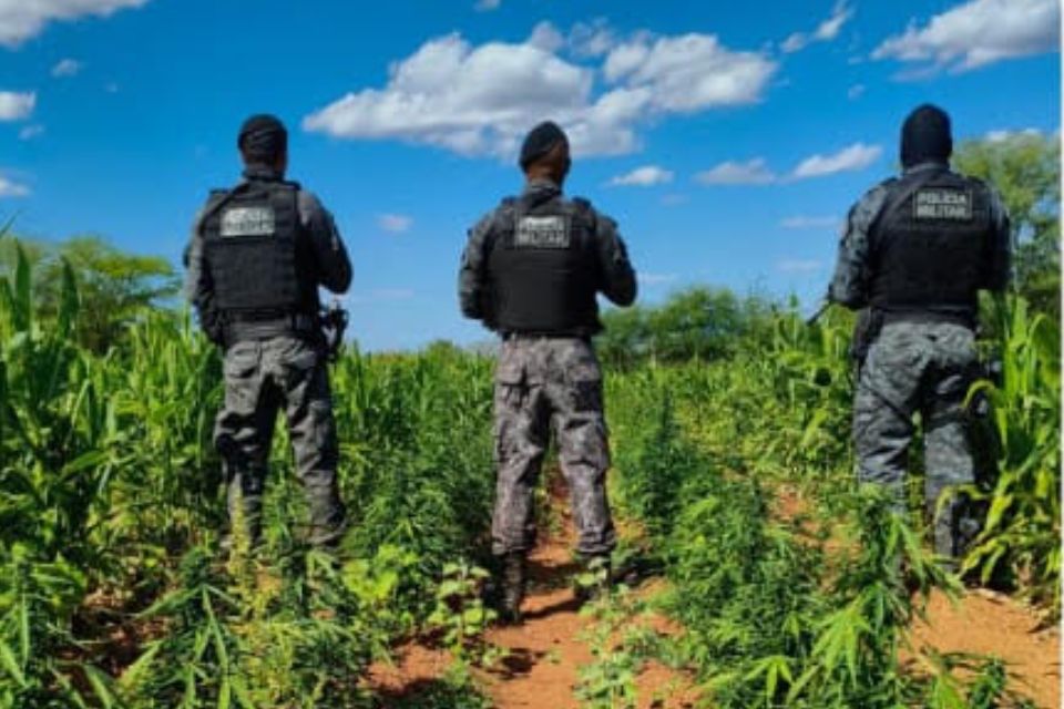 Segundo a PM, agentes foram recebidos a tiros na fazenda/Divulgação