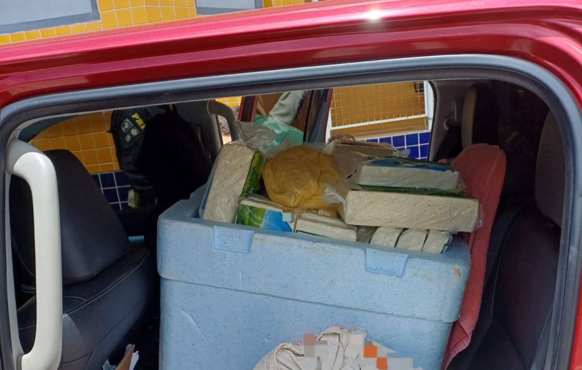 Queijos apreendidos pela PRF/Divulgação/PRF