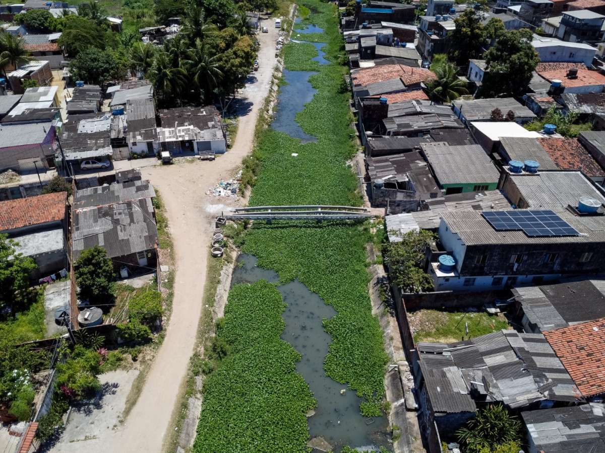Moradores se unem para reconstruir ponte entre Jardim Brasil 1 e Ouro Preto, em Olinda
 (Rafael Vieira/ DP Fotos)
