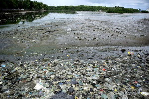 Rio Beberibe acumula lixo e tem forte mau cheiro sob ponte na divisa entre Recife e Olinda
