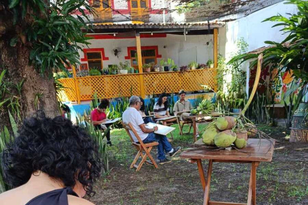   (Divulgação)
