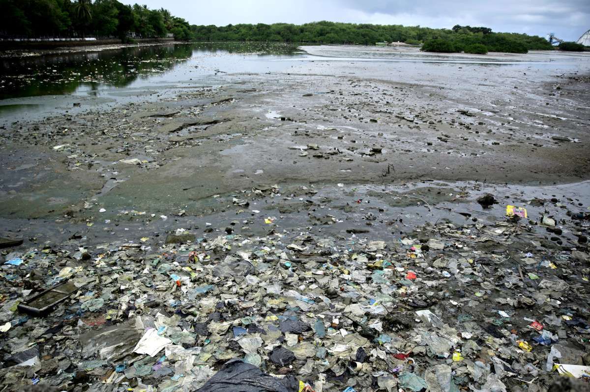 Rio Beberibe acumula lixo e tem forte mau cheiro sob ponte na divisa entre Recife e Olinda
/Maurício Ferry/DP Fotos