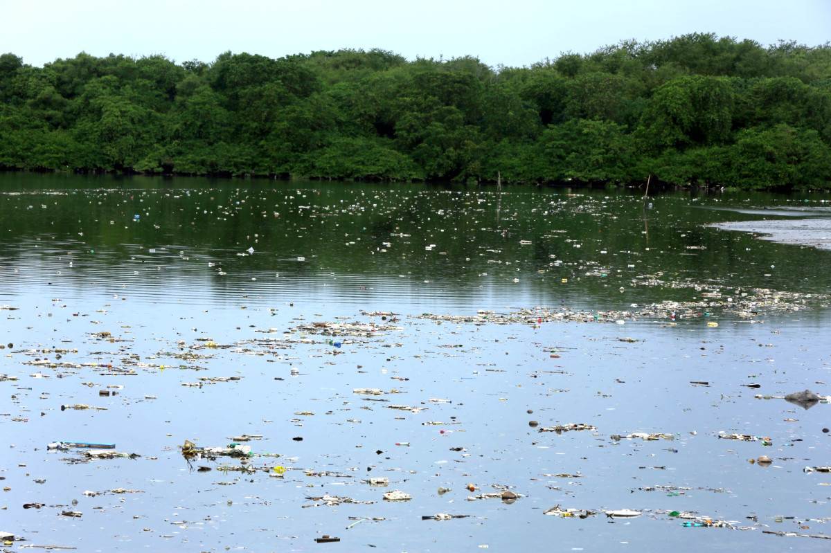 Rio Beberibe acumula lixo e tem forte mau cheiro sob ponte na divisa entre Recife e Olinda
 (Maurício Ferry/DP Fotos)