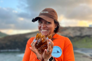Pesquisadora do Projeto Ecotuba observa c&aacute;psulas de tubar&atilde;o-lixa encontradas durante monitoramento em Fernando de Noronha