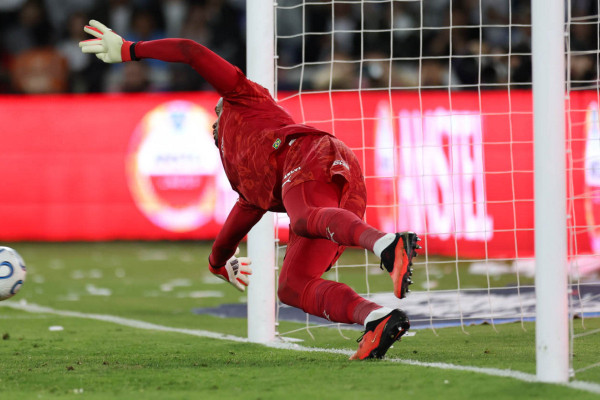 Cesar Greco/Palmeiras