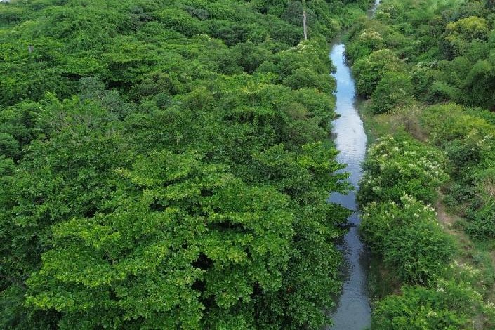 Fiscalização ocorreu nas margens do Rio Paratibe/Alysson Silva/ Prefeitura de Paulista