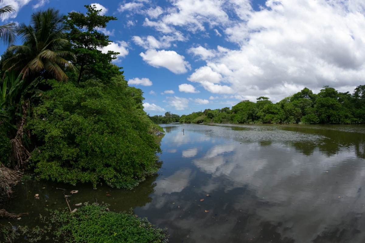 O insustentável que sustenta o insustentável: o lixo do Capibaribe como memória, denúncia e educação ambiental (Rafael Vieira/DP Fotos)