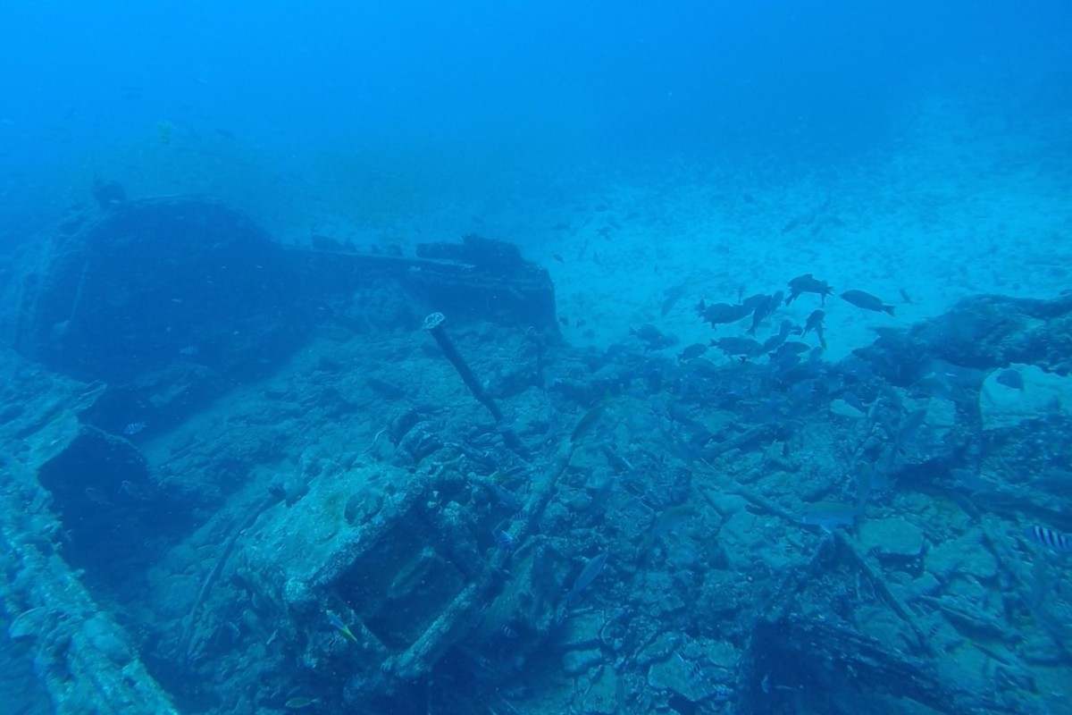 Naufrágios históricos visitados por mergulhadores estão com a água turva (Foto: Leonardo Accioly)