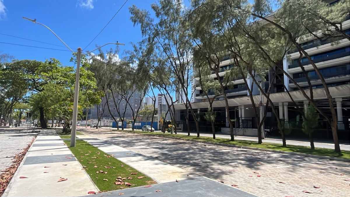 Espaço para estacionamento revitalizado (Divulgação/Prefeitura do Recife)