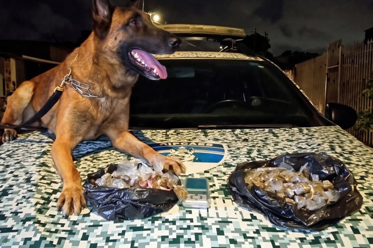 Menor de idade é apreendido com 257 big de maconha em Olinda
/Ascom/PMPE