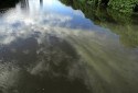 Subst&acirc;ncia no Rio Capibaribe j&aacute; estava dilu&iacute;da nesta sexta - Mauricio Ferry/ DP Foto